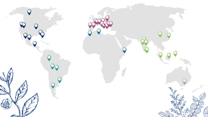 Map of where essential oils are sourced.