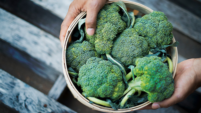 organic broccoli