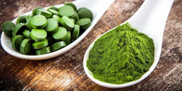 Chlorella 