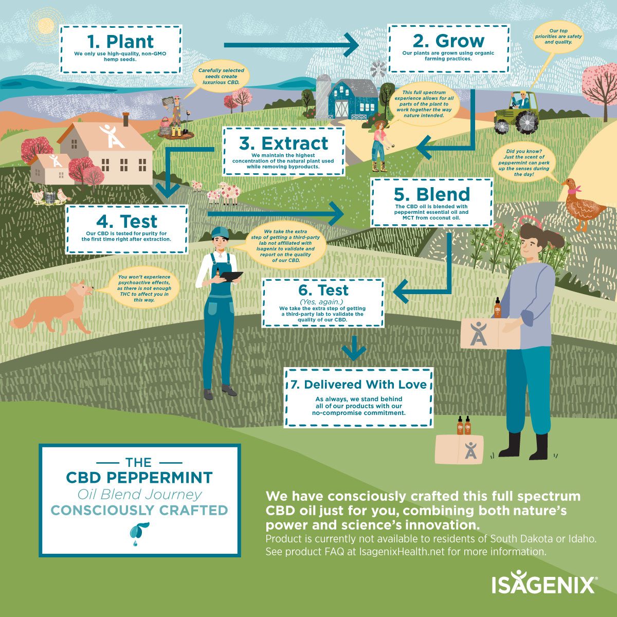 CBD oil journey infographic