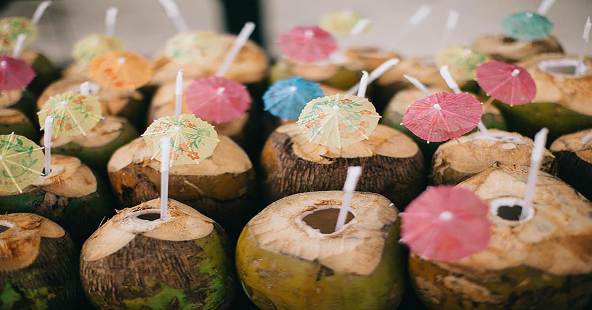 Coconuts_Umbrellas1200x630