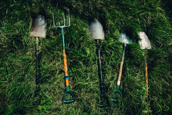 Overhead view of gardening tools in lush green grass