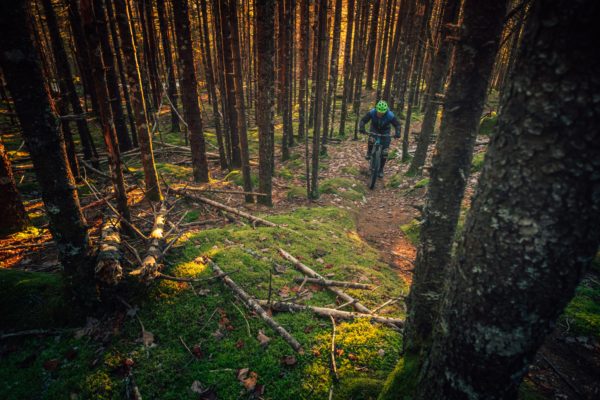 Man mountain biking in the forest