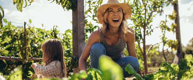 Home Herbs: Plant Your Way to Healthy Recipes